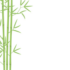 Bamboo card background template. Bamboos or bambusa plant backdrop. Space for text. Bambos green leaves and stalk. Decorative flat vector color Illustration.