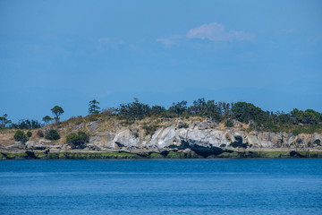 small island with some green trees covered on top on the ocean under blue sky