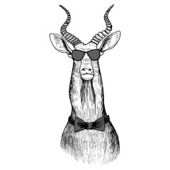 vector hand drawn head of antelope © cat_arch_angel