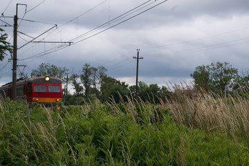 Spikelets of tall green succulent grass in a field and a blurred train with a red front running behind them between two wooden power line poles