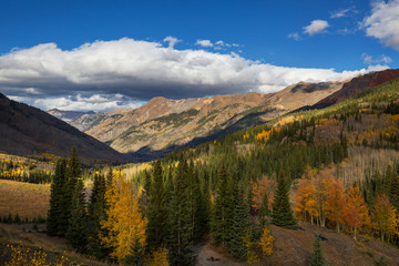 Fototapeta premium Autumn in Colorado