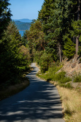narrow road on the downhill slope with tall trees on both sides and island on blue ocean at far end over the horizon on a sunny day