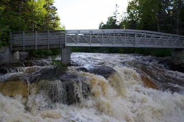 bridge over the river