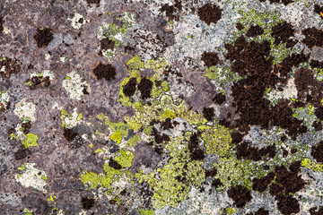 Close-up Rock formation. The texture of gray stone, the background.natural rock texture background