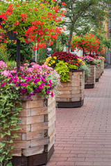 nice flowers in the containers