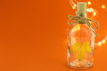 Autumn in a bottle.Autumn yellow leaf in a transparent bottle and a garland on an orange bright background. Autumn time. Fall season