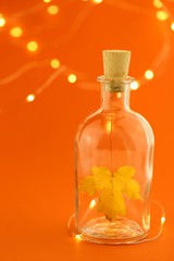 Autumn in a bottle.Autumn yellow leaf in a  bottle and a garland on an orange bright background. Autumn time. Fall season