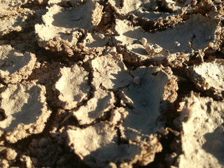 Brown dry land. Terrain with cracks. Absence of rain. Severe drought.