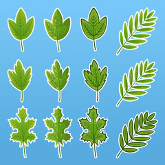 Set of vector illustrations of complex green leaves in a flat style