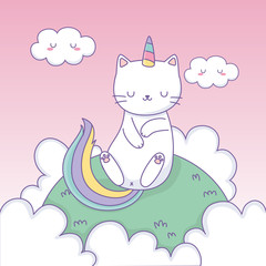 cute cat with rainbow tail in the camp kawaii character