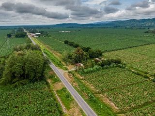 Fototapeta na wymiar Beautiful aerial view of Banana plantations in Costa Rica on the road of Siquirres - Limon