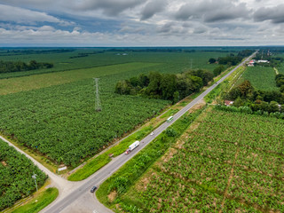 Beautiful aerial view of Banana plantations in Costa Rica on the road of Siquirres - Limon