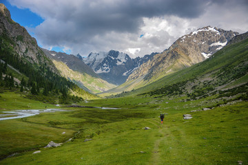 Fototapeta premium Beautiful landscape forest with rocks, fir trees and blue sky in mountains of Kyrgyzstan. Peaceful outdoor scene.