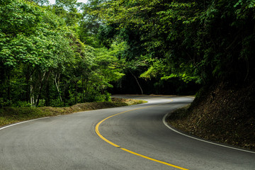 Obraz premium caminos entre arboles