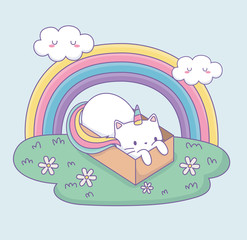 cute cat with rainbow tail in carton box kawaii character