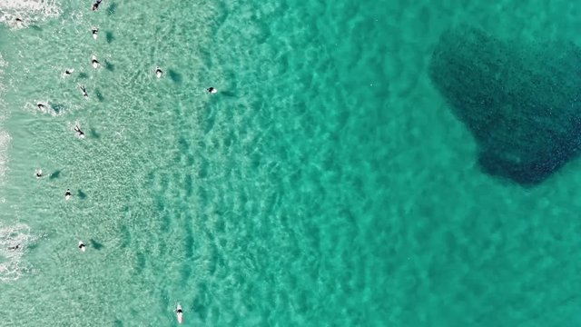 Stunning dynamic 4k aerial bird's eye view of surfers in wetsuits waiting for good waves at world famous Bondi Beach, Sydney, New South Wales, Australia. Big shoal of fish near the surfers.