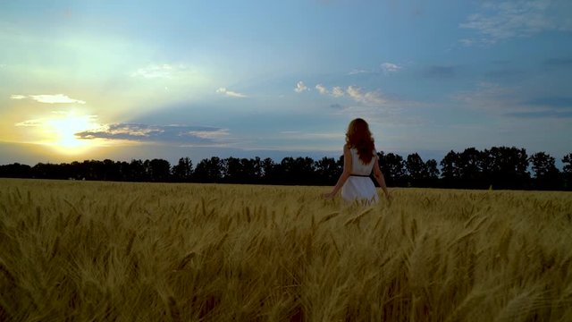 following shot of young woman in wheat field walking towards setting sun
