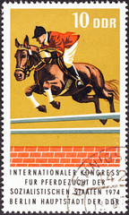 Show Jumping (German Democratic Republic 1974)
