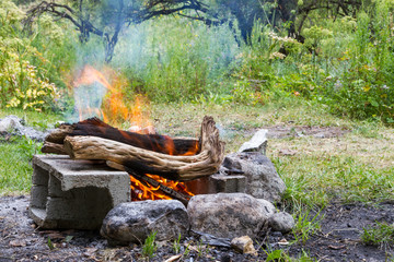 saxaul bonfire in nature