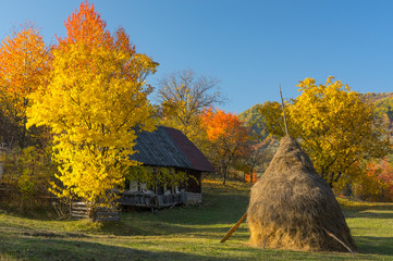 Rural Landscape with Autumn Colors.