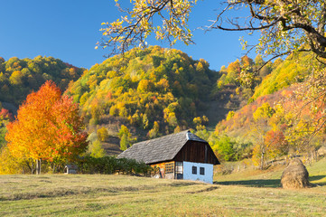 Fototapeta na wymiar Rural Landscape with Autumn Colors.