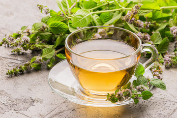 Cup of tea drink with fresh leaves of peppermint melissa gray background. Healing herbal drink. Horizontal frame.