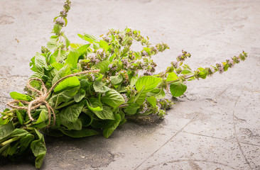 A bunch of fresh mint or lemon balm on a gray background. Copy space. Selective focus.
