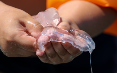 Medusa in the hands of the sea