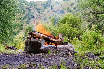 bonfire in nature