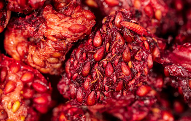 Red dried strawberries as background