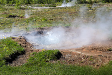 Geyser And Geothermal Field In Iceland