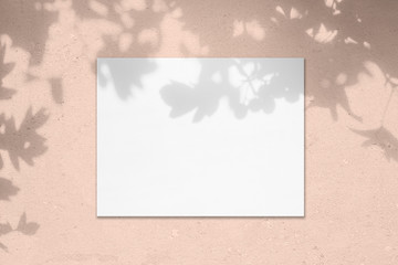 Empty white horizontal rectangle poster mockup with soft shadow on pastel pink colored concrete...