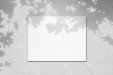 Empty white horizontal rectangle poster mockup with soft shadow on neutral light grey concrete wall...