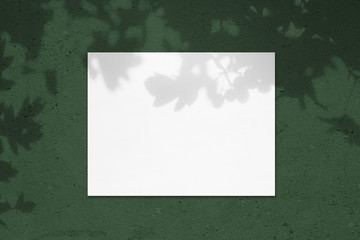 Empty white horizontal rectangle poster mockup with soft shadow on dark green colored concrete wall background. Flat lay, top view