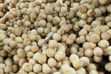 Duku fruit is an Indonesian fruit