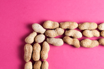 dried fruit still life