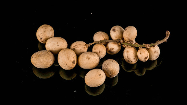 lansium parasiticum or Duku is a type of fruit from members of the Meliaceae tribe. originating from western Southeast Asia similarities with langsat fruit, kokosan, pisitan, celoring 