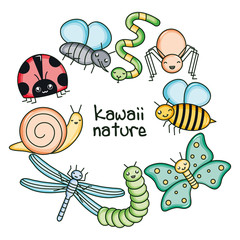 cute and little garden animals kawaii characters