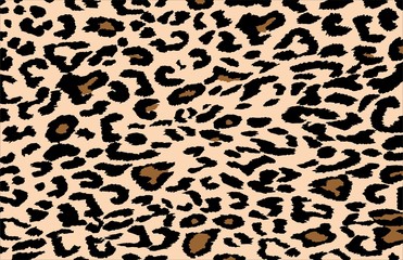 Leopard pattern background vector