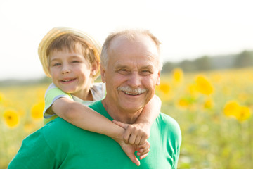 grandson is sitting on his grandfather On Walk in the summer outdoors in sunflower field. Concept...