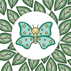 cute butterfly insect kawaii character