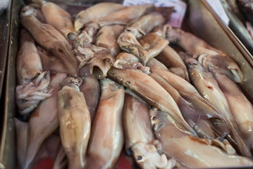 Fresh fish at traditional fish market