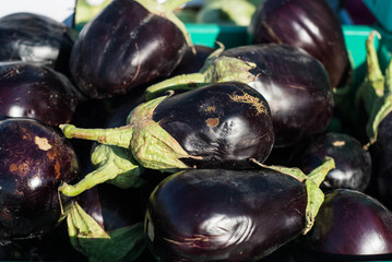 Fresh eggplant at traditional food market
