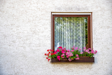 Fototapeta na wymiar Beautiful old window frame with flower box and light grey wall. Geranium or cranesbill in a window box. Rural window frame with copy space.