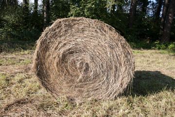 circular hay bale