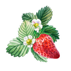 Watercolor red juicy strawberry with leaves. Food background, painted bright composition. Hand drawn food illustration. Fruit print. Summer sweet fruits and berries.