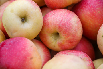 red apples and fruit