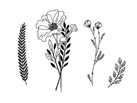 minimalistic flower graphic sketch drawing, trendy tiny tattoo design, floral botanic element
