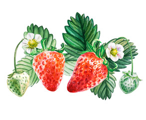 Watercolor red juicy strawberry with leaves. Food background, painted bright composition. Hand drawn food illustration. Fruit print. Summer sweet fruits and berries.