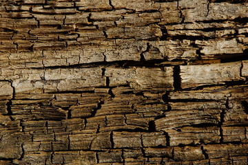 surface of old wood texture background closeup